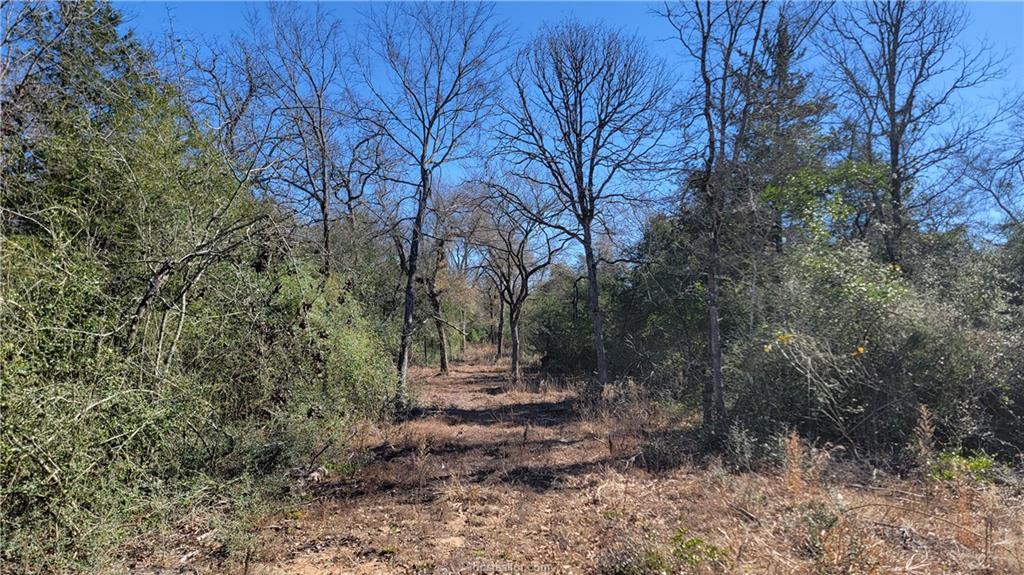 Lot 25 High Meadow Trail Property Photo 23