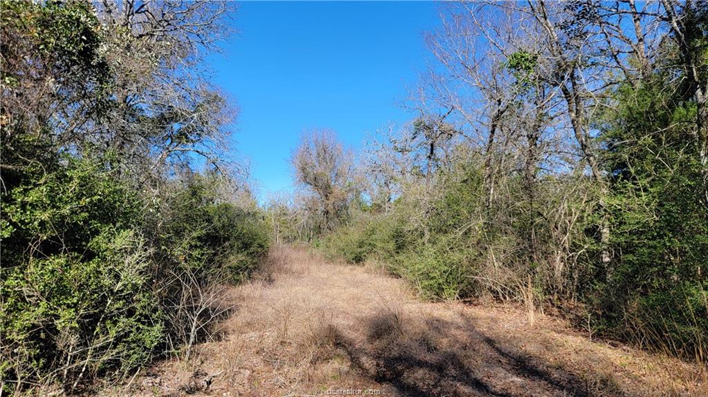 Lot 25 High Meadow Trail Property Photo 24