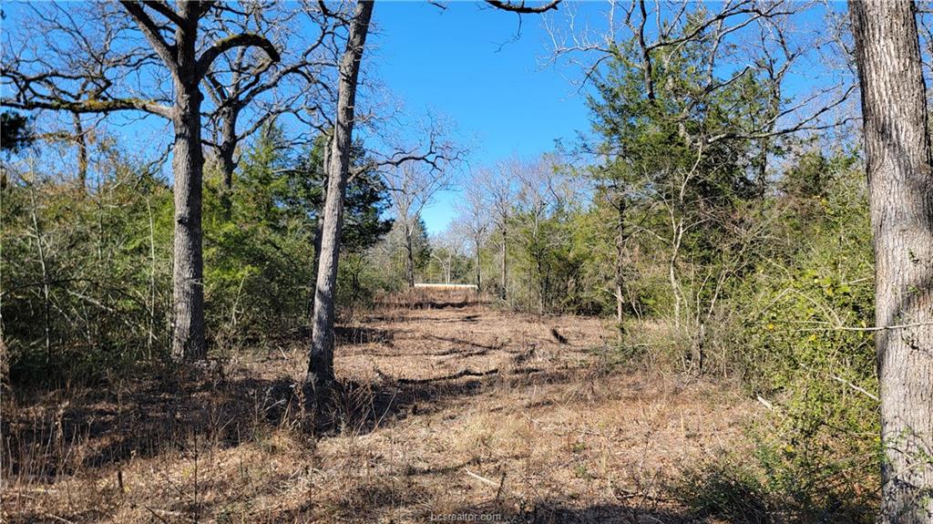 Lot 25 High Meadow Trail Property Photo 26