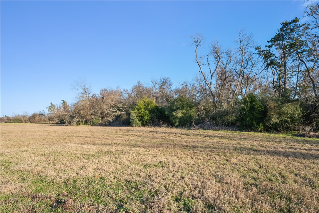 315 Dewey Lane Property Photo 12