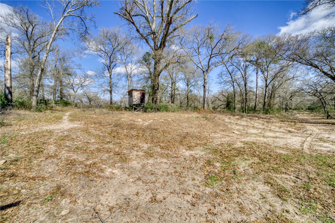 9157 Idaho Lane Property Photo 23