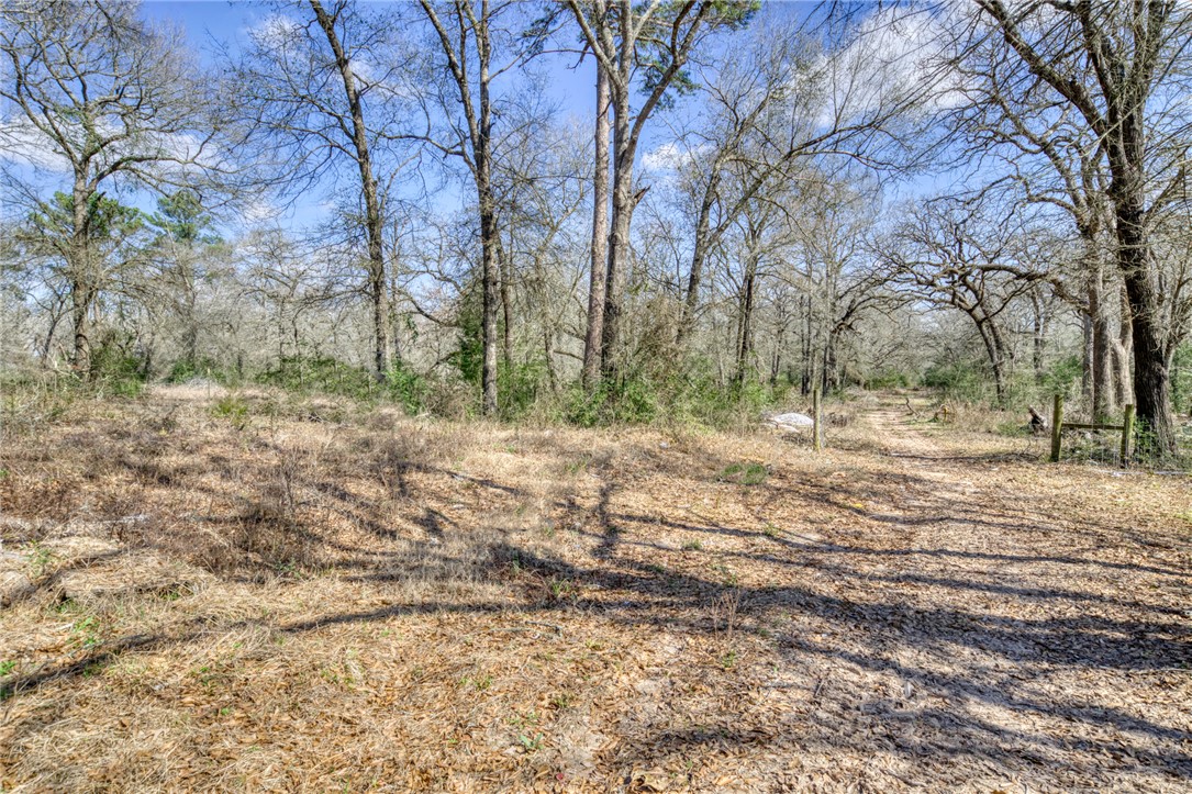 9157 Idaho Lane Property Photo 24