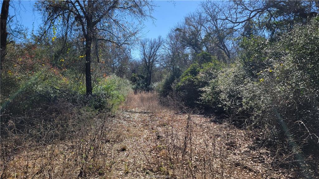 Lot 23 High Meadow Trail Property Photo 36
