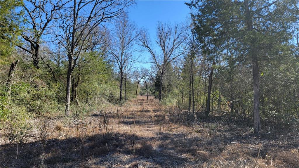 Lot 23 High Meadow Trail Property Photo 38