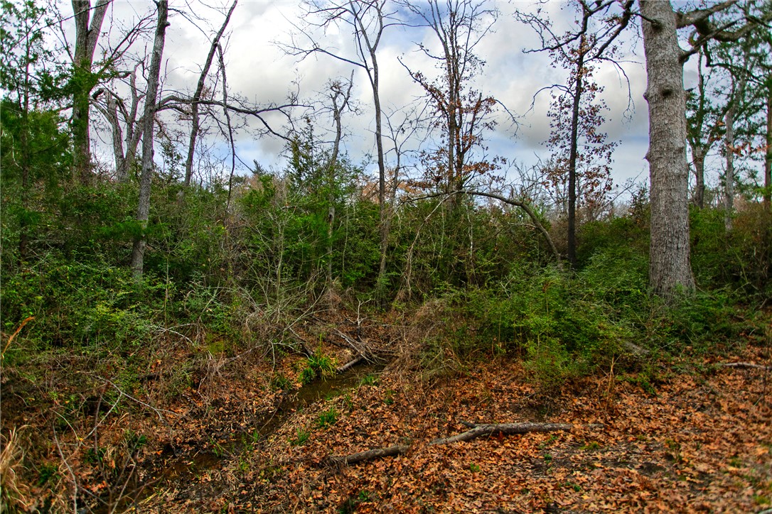 215 Woodforest Property Photo 48