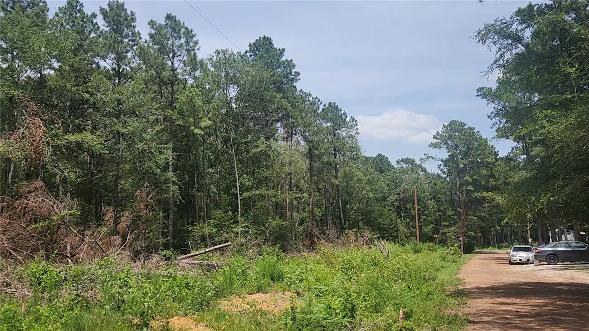 Lot 28 Honey Locust Property Photo 1