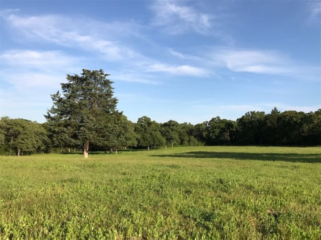 Cameron Real Estate Listings Main Image
