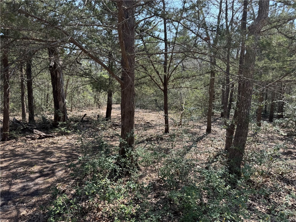 232 Wooded Trail Property Photo