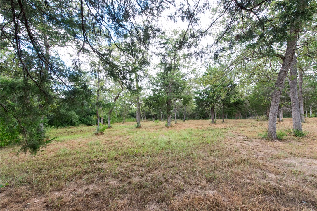 Tbd Grape Cir (1.2 Acres) Property Photo