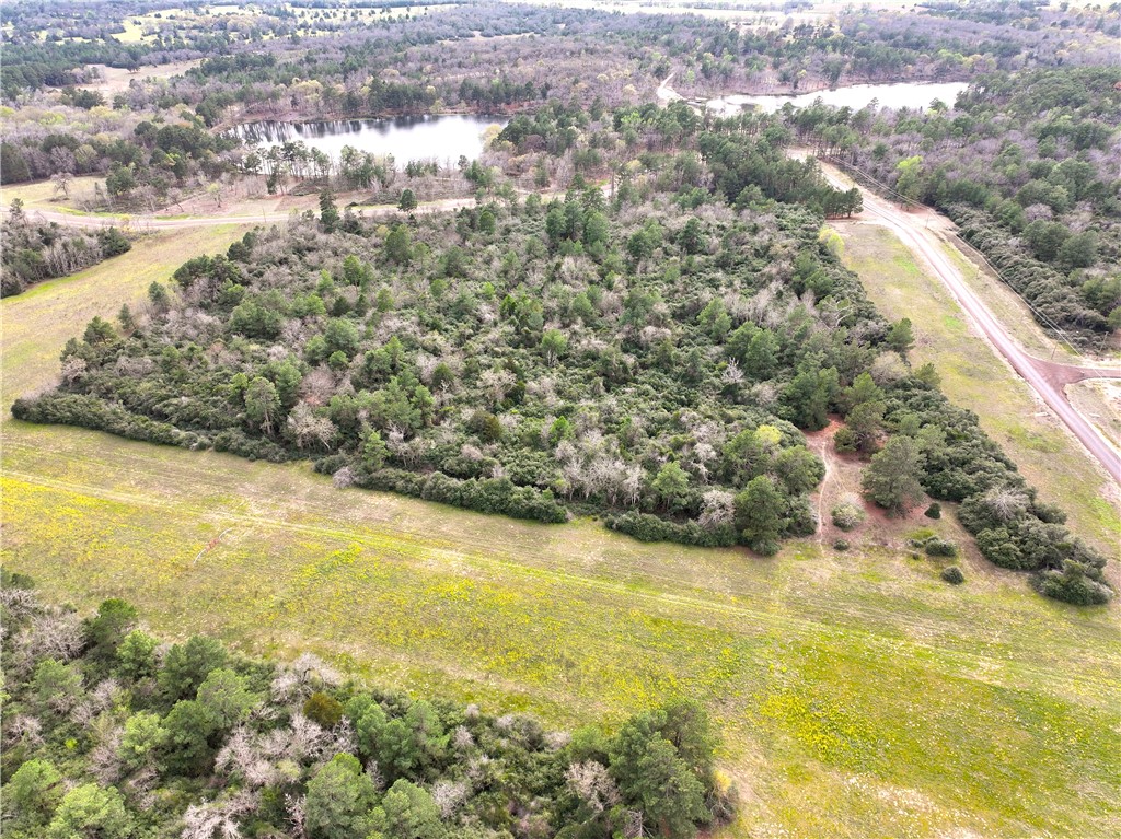 Lot 98 Pr 1315 Property Photo 6
