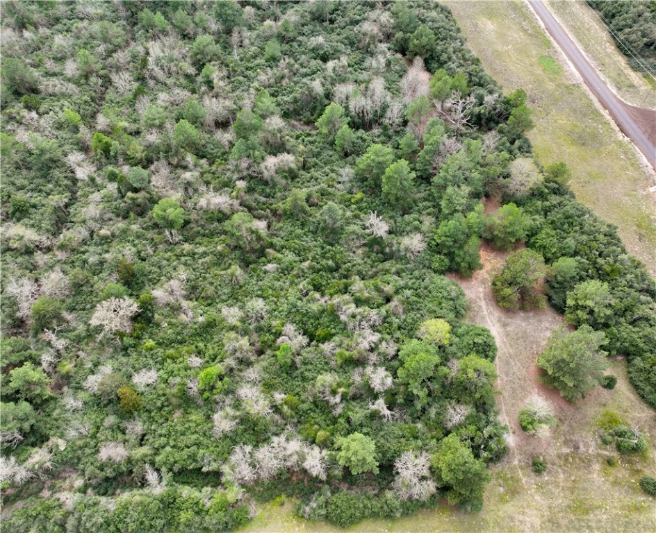 Lot 98 Pr 1315 Property Photo 7