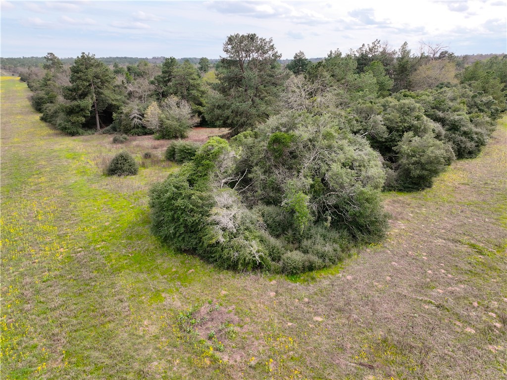 Lot 98 Pr 1315 Property Photo 8