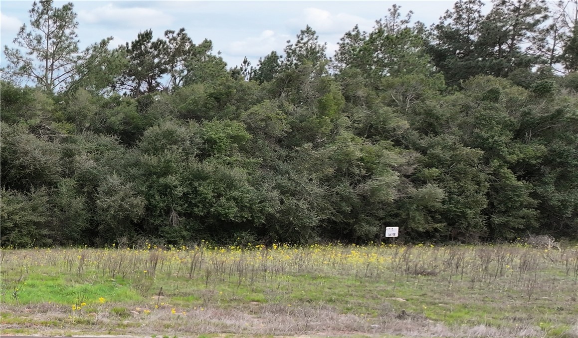 Lot 98 Pr 1315 Property Photo 9