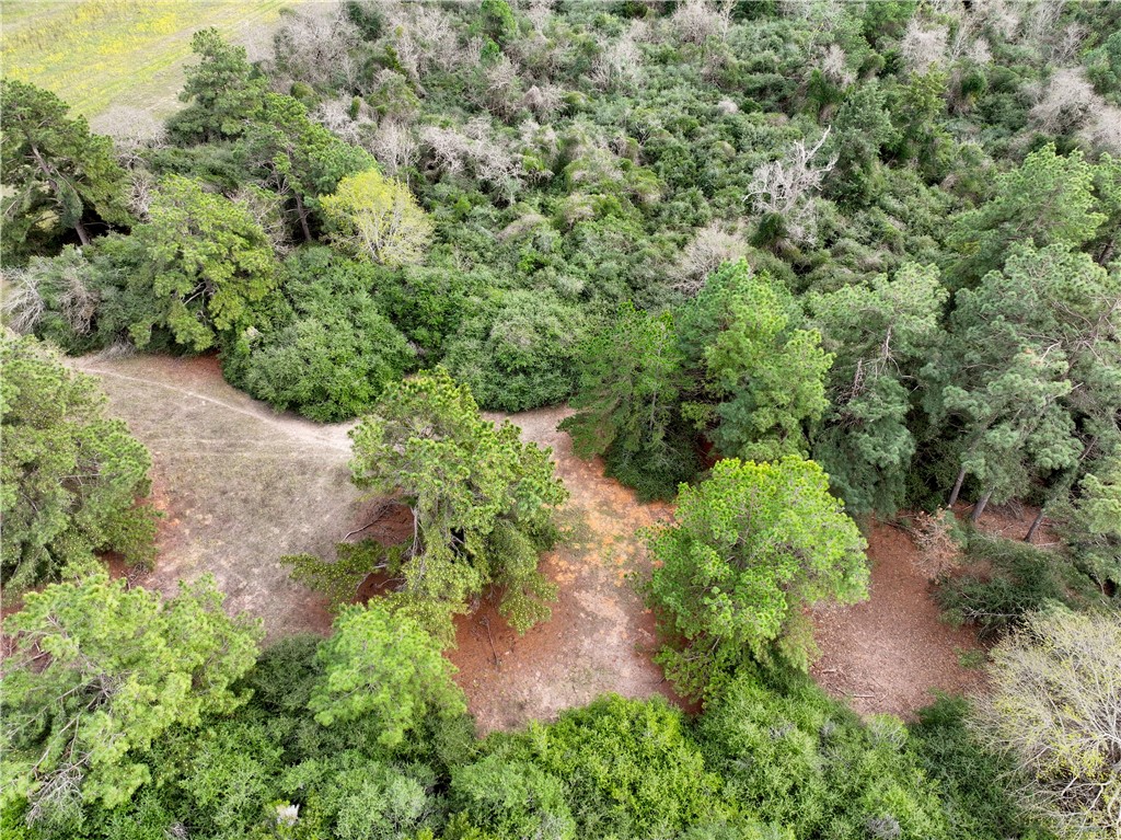 Lot 98 Pr 1315 Property Photo 12