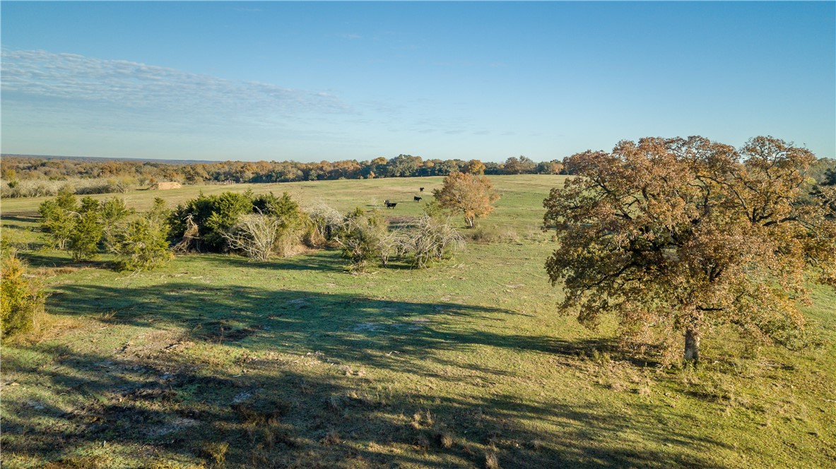 000 Dannheim Road County Road Property Photo 1