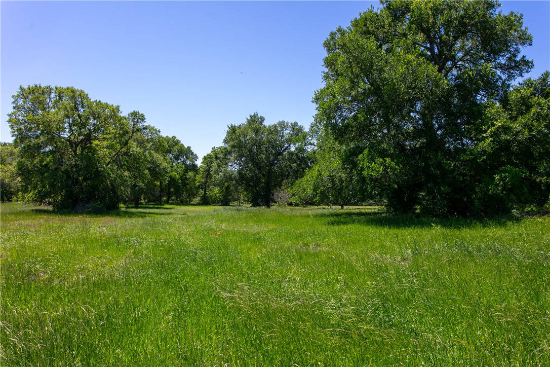 Lot 2b Brazos Court Property Photo