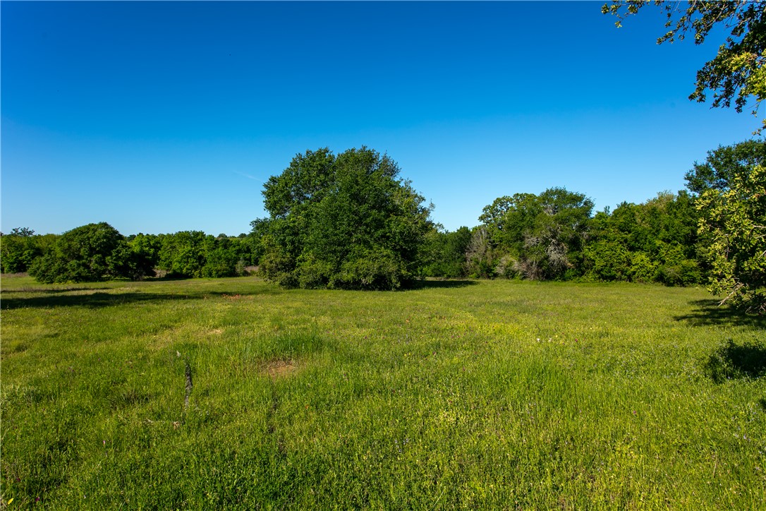 Lot 7a Brazos Court Property Photo