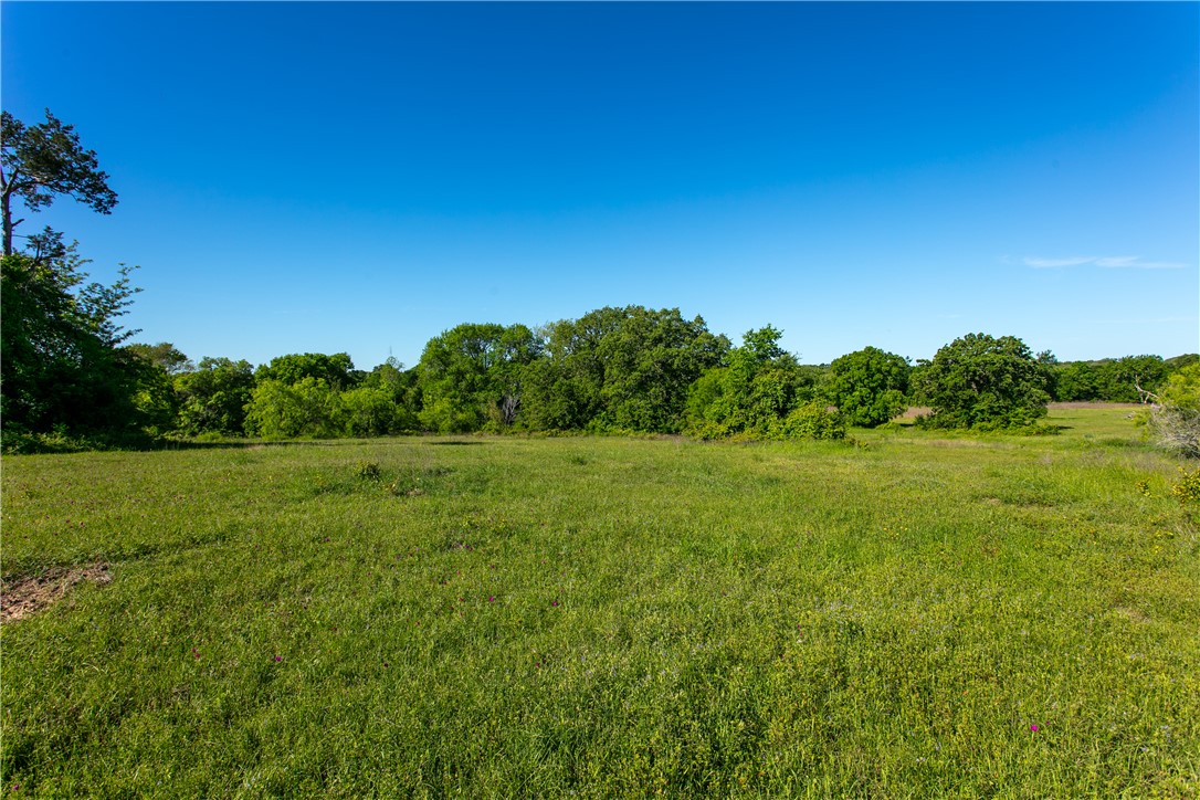Lot 11a Brazos Court Property Photo