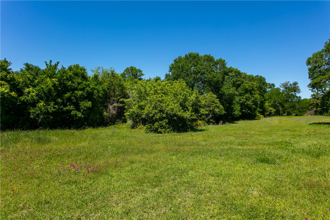 Lot 25 Brazos Court Property Photo