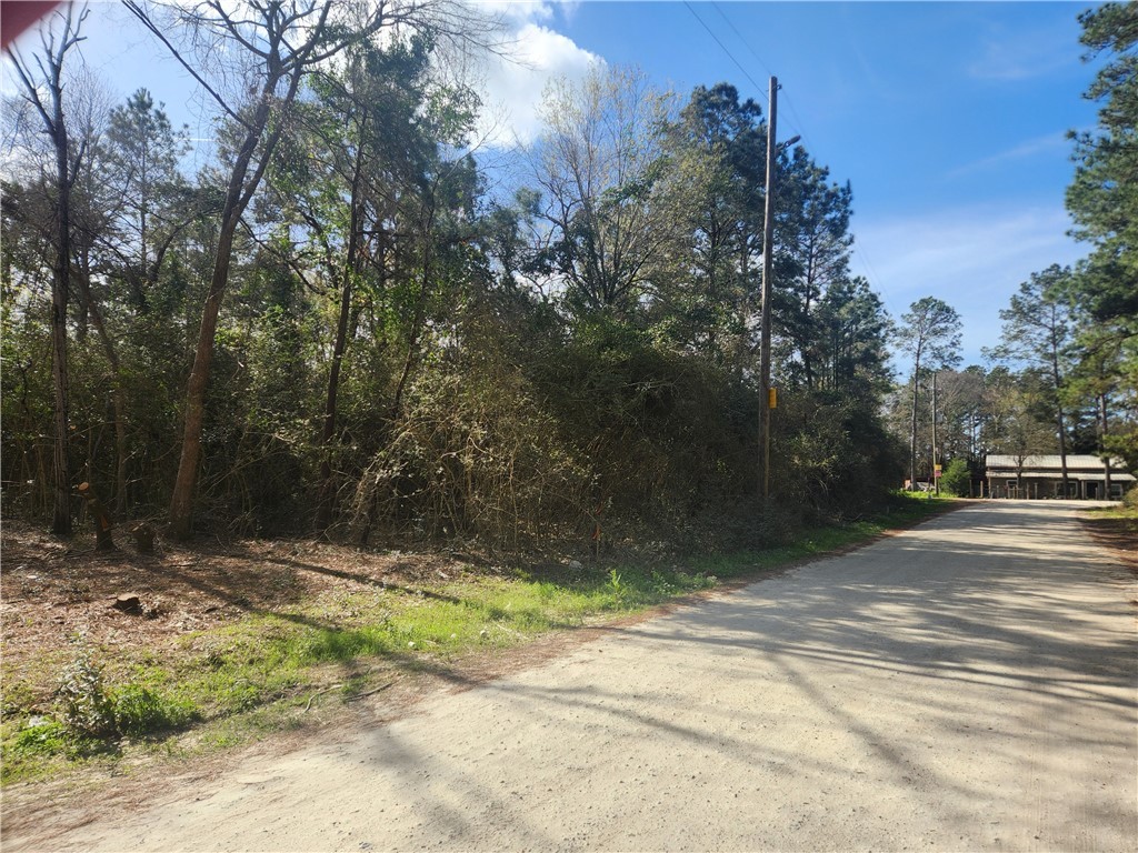 Lot 2 Live Oak Property Photo