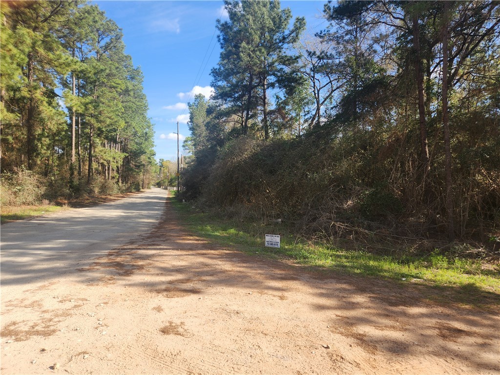 Lot 3 Live Oak Property Photo