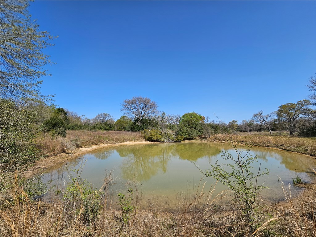 Leon County Real Estate Listings Main Image