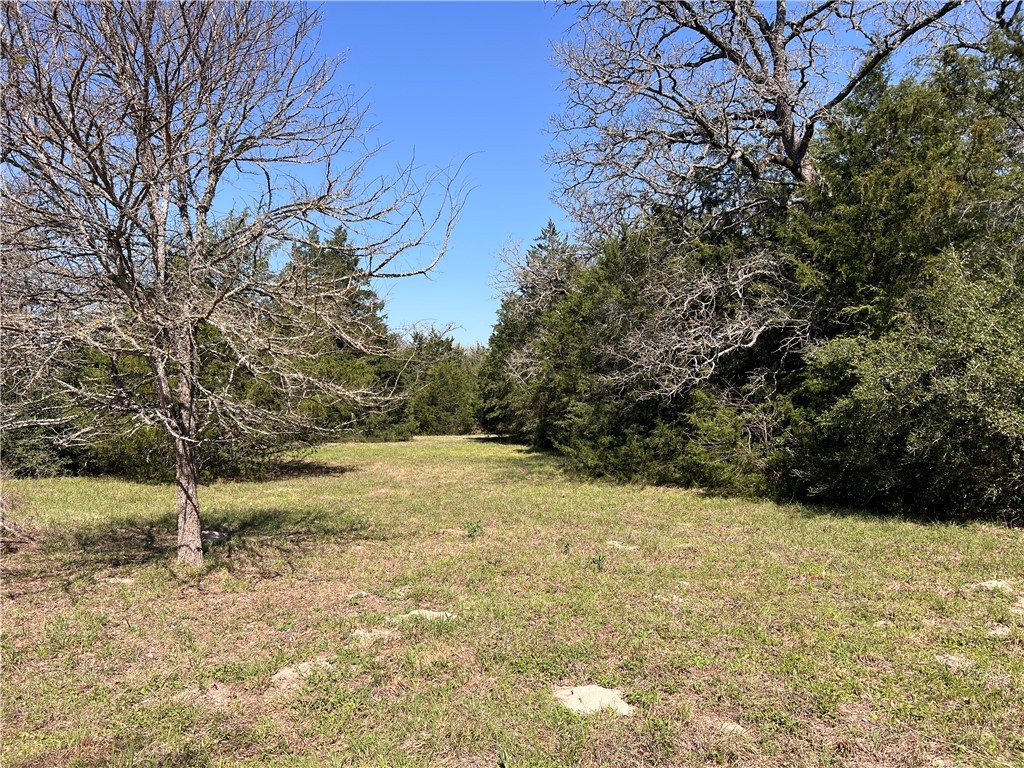 Tract 8 Acreage Estates Pauline Lane Property Photo