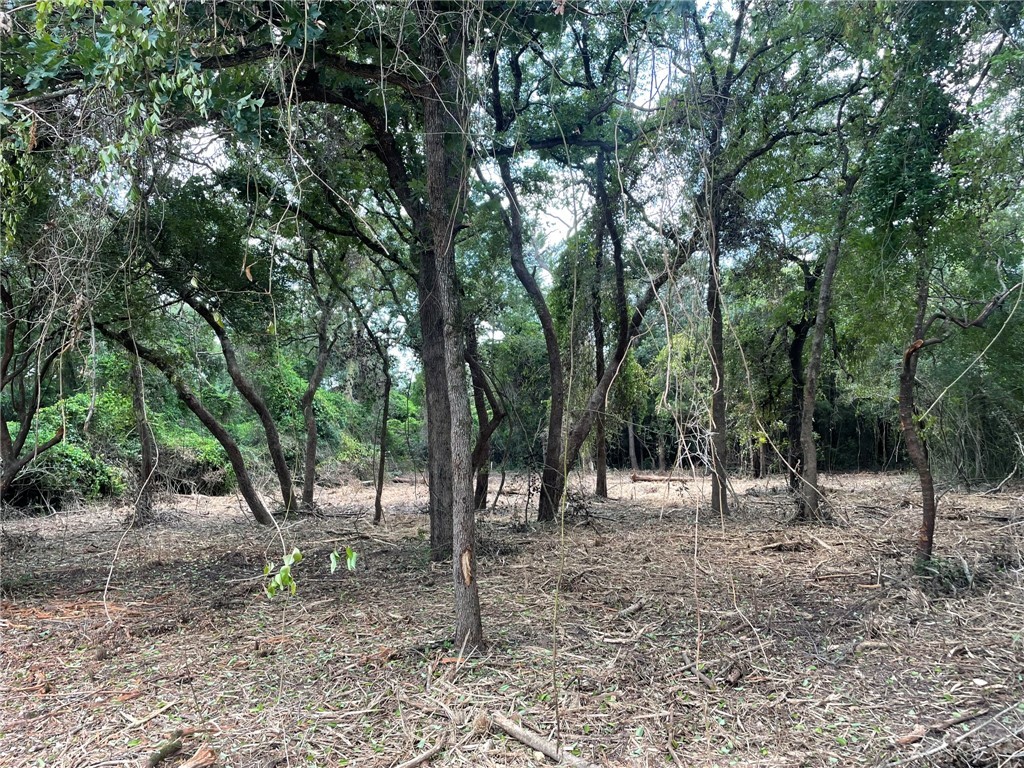 Tbd Lakeland Drive S Property Photo