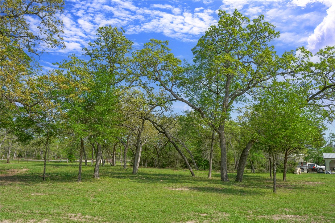 2 Acres Fm 244 Property Photo 1