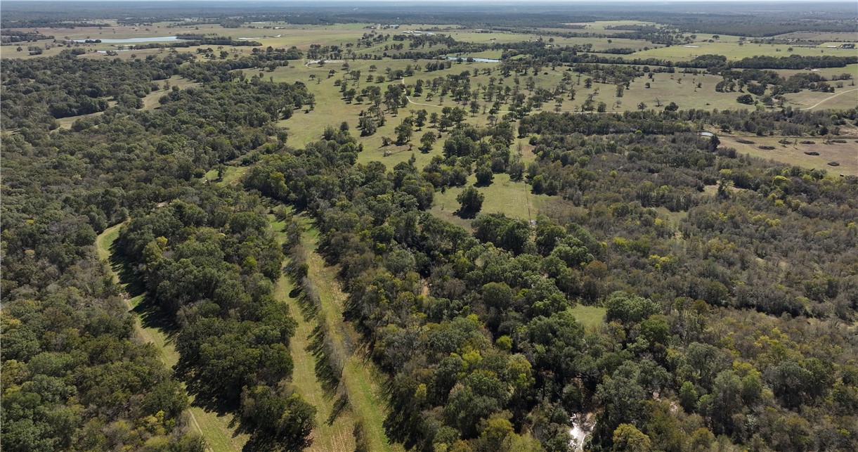 9645 Fm 1428 Property Photo 8