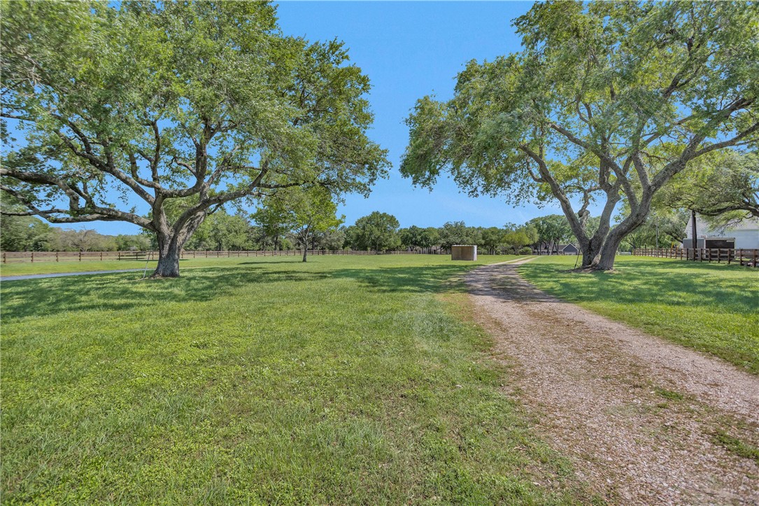 Tbd Walker Lane Property Photo 4