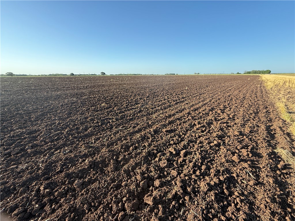 Tbd Highway 50 (203.4050 Acres) Property Photo 1
