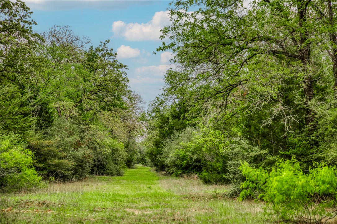 Tbd (349.84 Acres) County Road 125 Property Photo 1