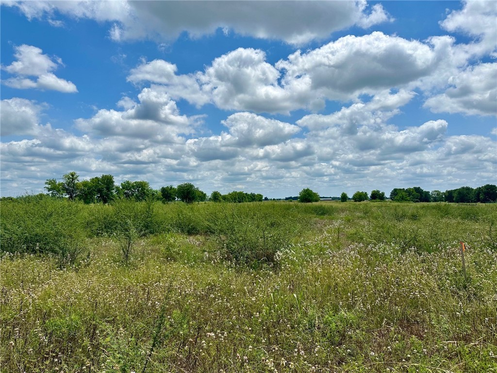 Lot 48 Back Nine Lane Property Photo 1