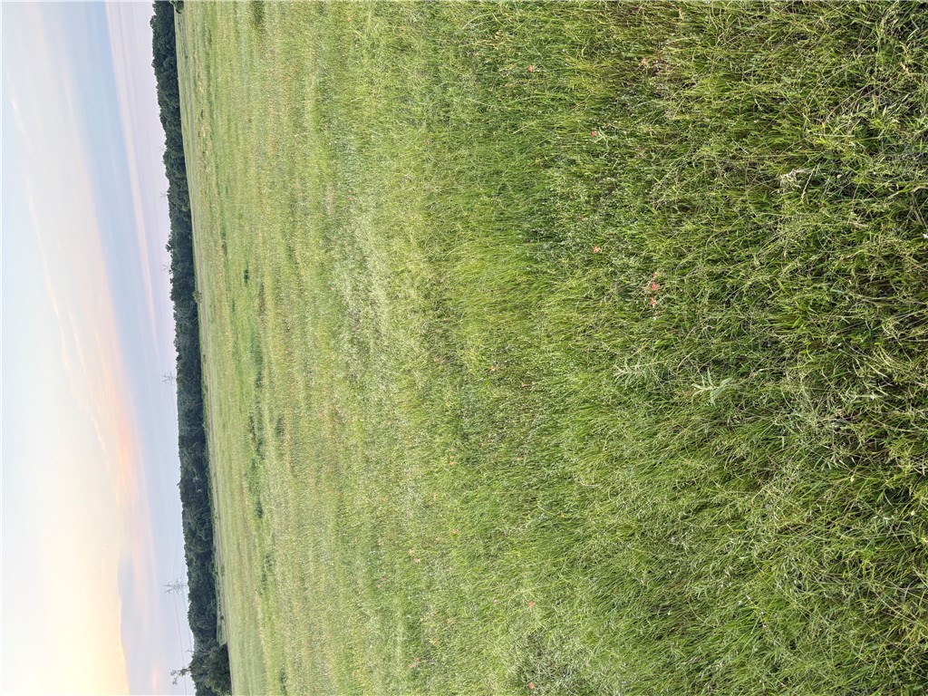 Tbd East Fm 2293 Farm To Market Road Ne Property Photo 1