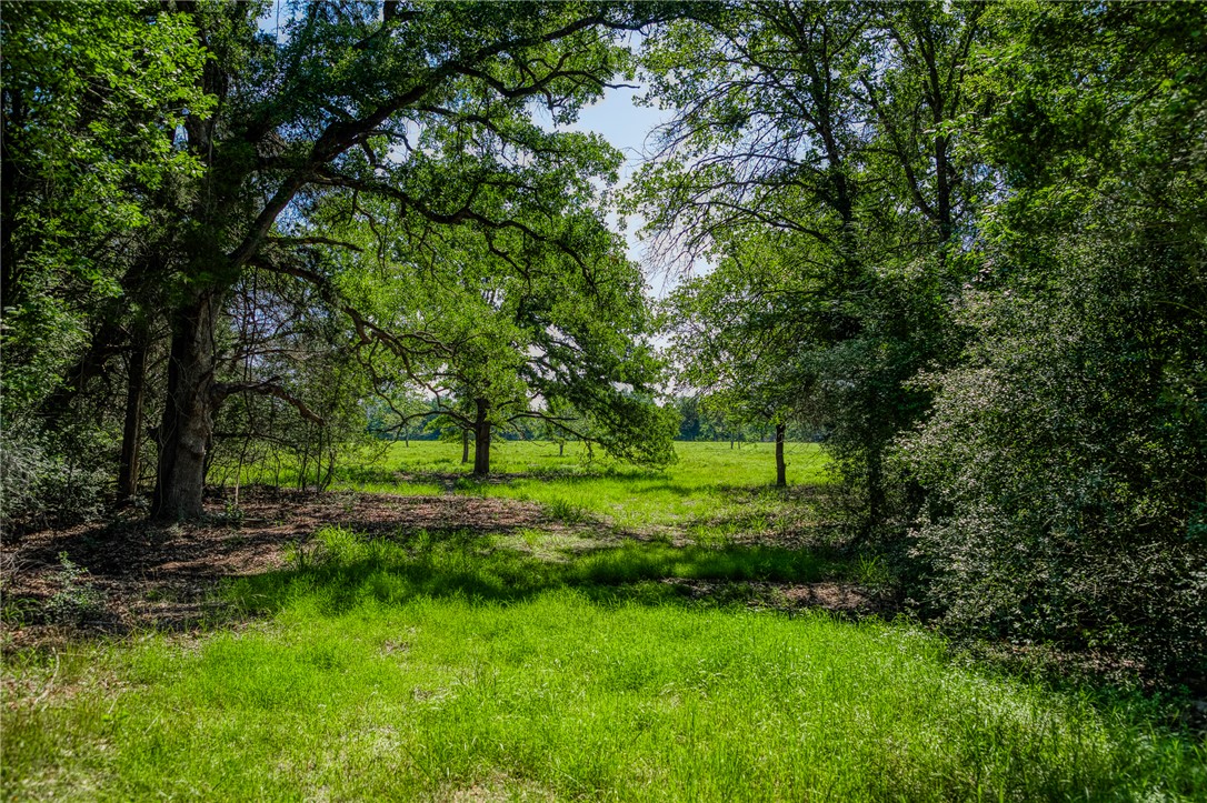 1012 County Road 438 Property Photo 1