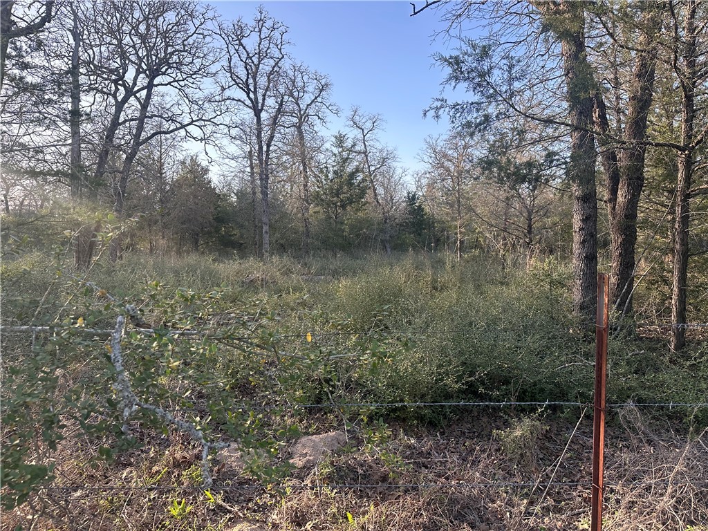 5 Acres County Road 462 Property Photo 1
