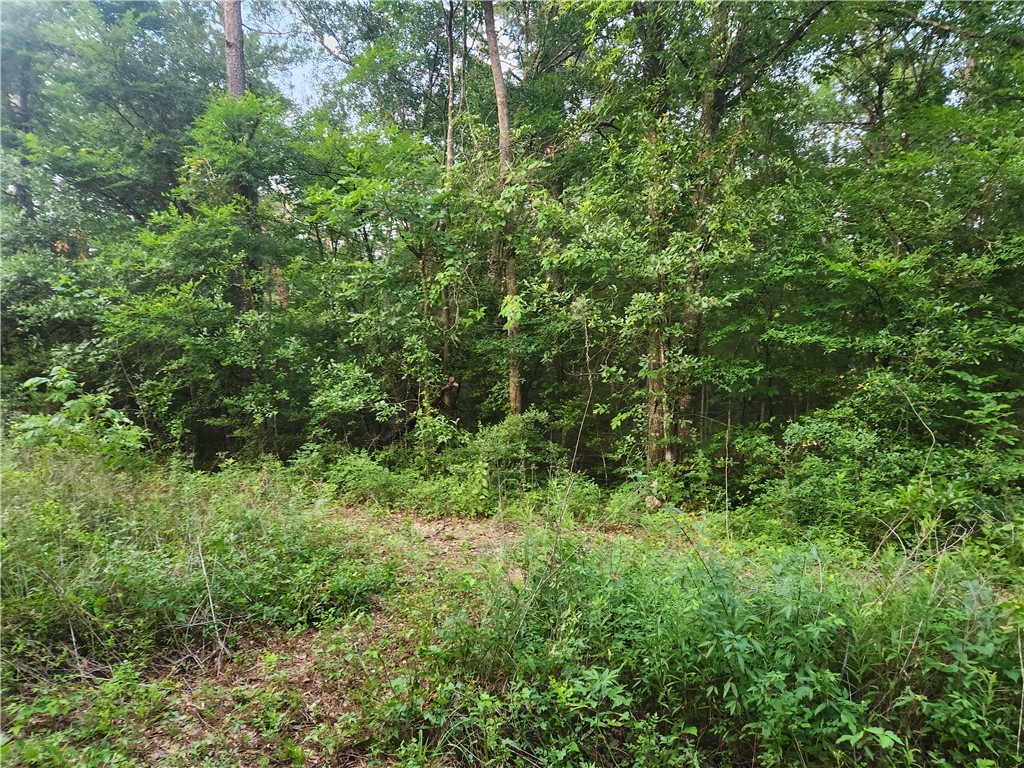 Lot 2 Hollybrook Drive Property Photo 1