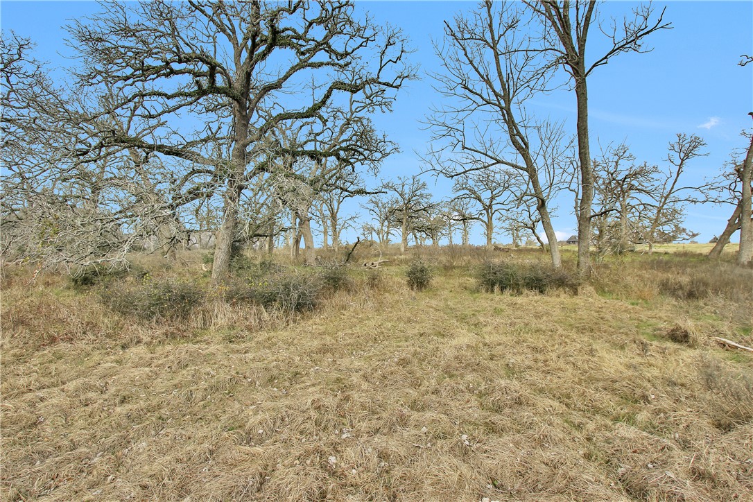 6087 Fm 3060 Farm To Market Road Property Photo 27