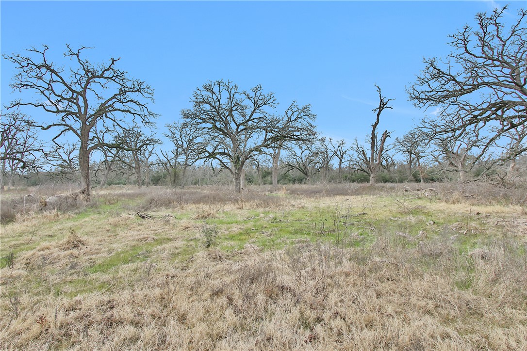 6087 Fm 3060 Farm To Market Road Property Photo 32