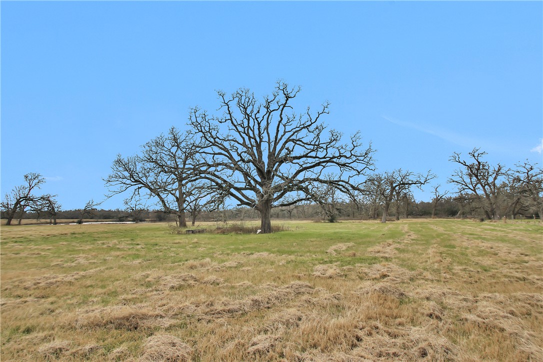 6087 Fm 3060 Farm To Market Road Property Photo 34