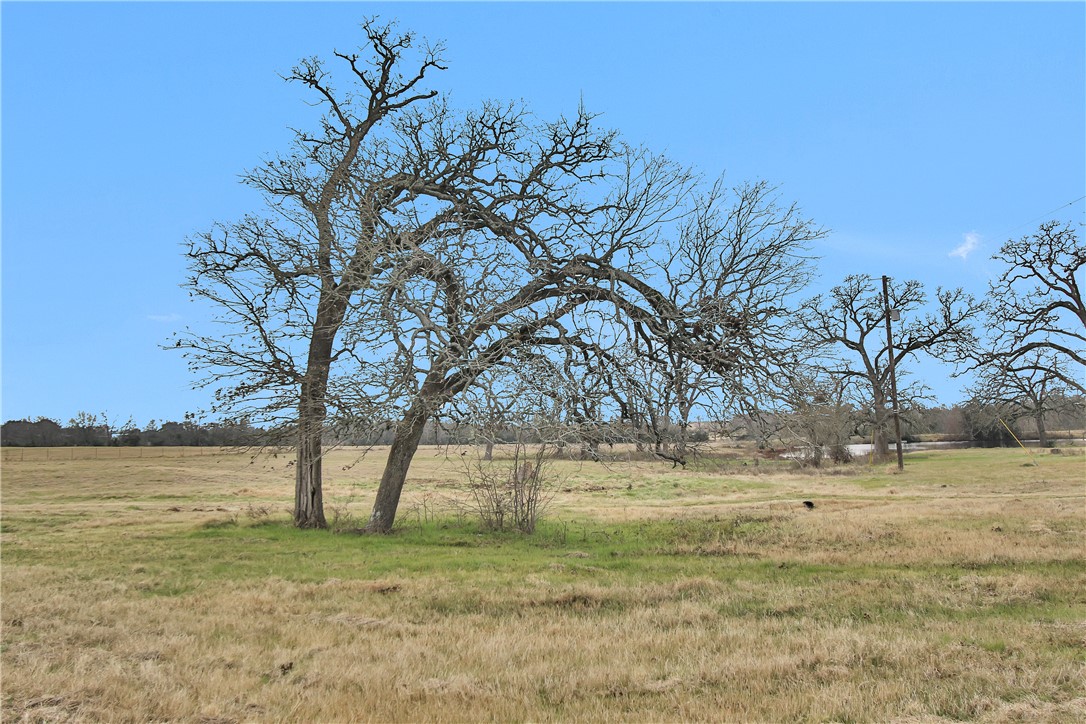 6087 Fm 3060 Farm To Market Road Property Photo 35