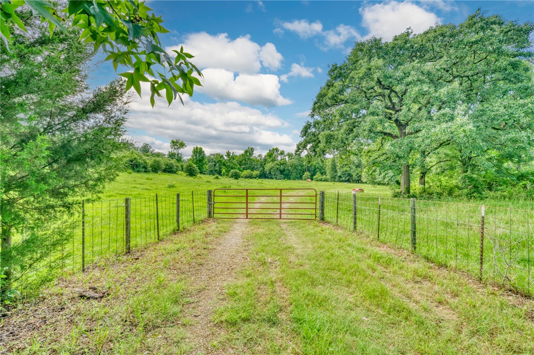 133 Acres Us Hwy 79 W Property Photo 1