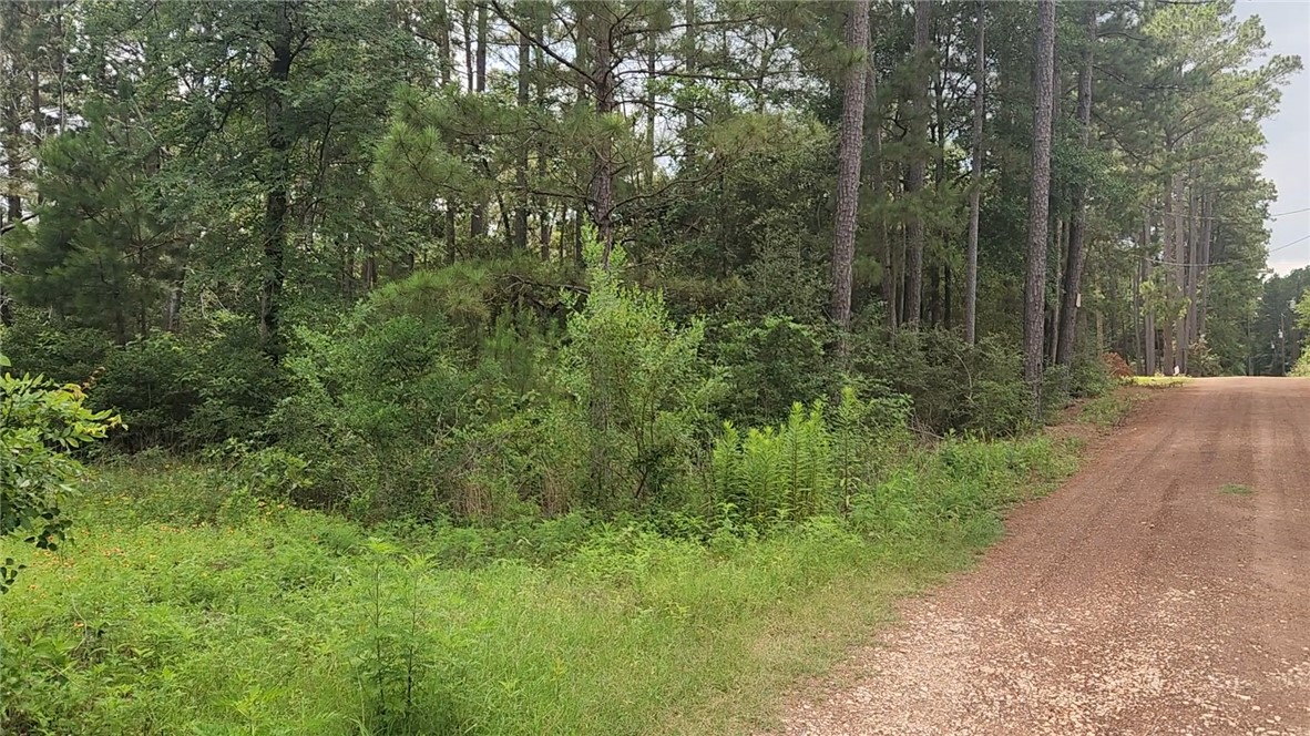 Lot 4 Smokethorn Lane Property Photo 1
