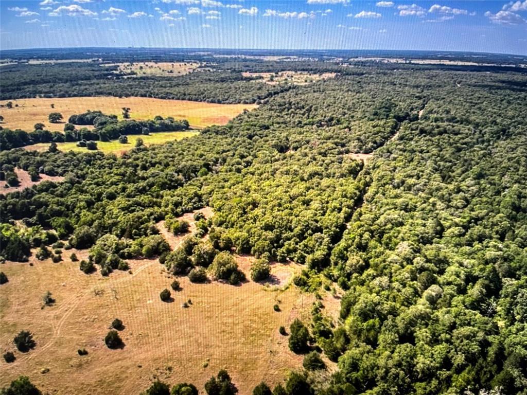 Tbd County Road 411 Road Property Photo 1