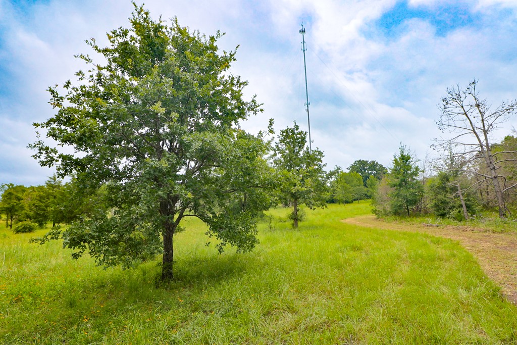 12029 Eagle Lane Property Photo 20