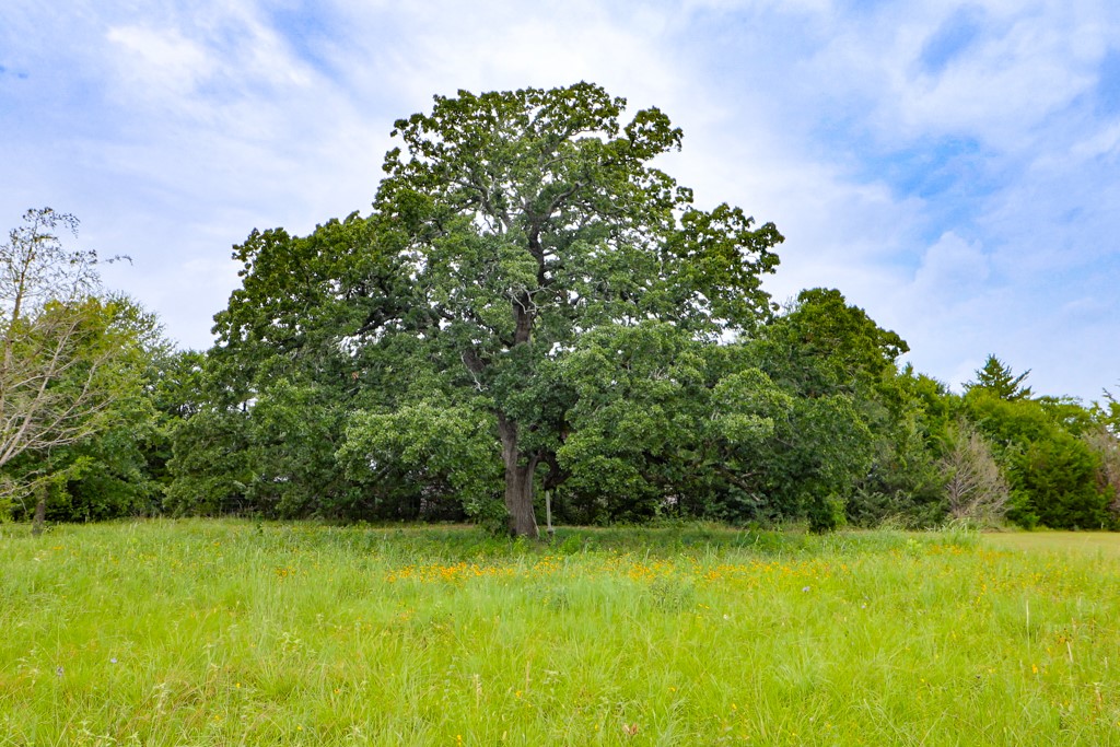12029 Eagle Lane Property Photo 21