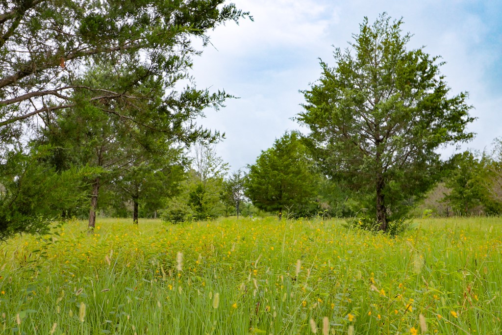 12029 Eagle Lane Property Photo 22