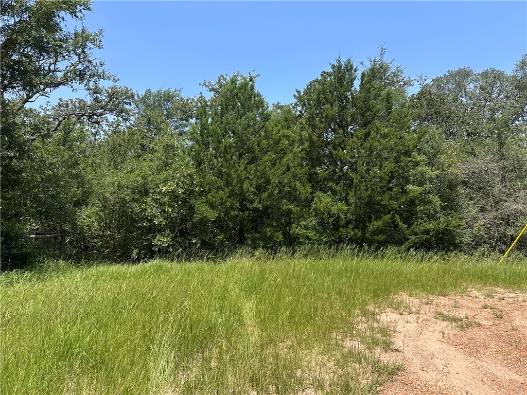 1011 Clay Circle Property Photo 1