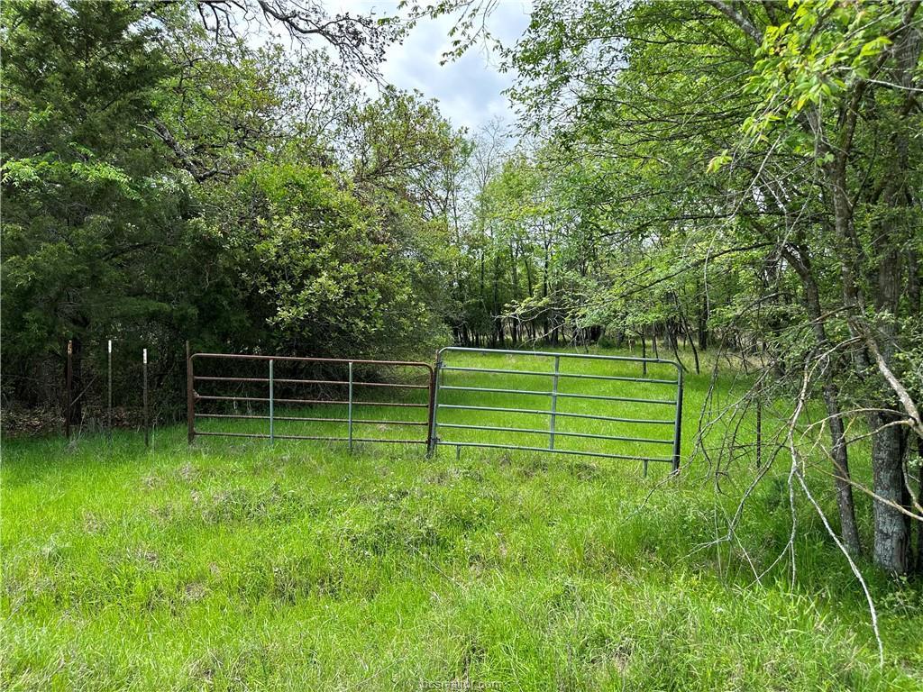 00 Hickory Loop Road Property Photo 1